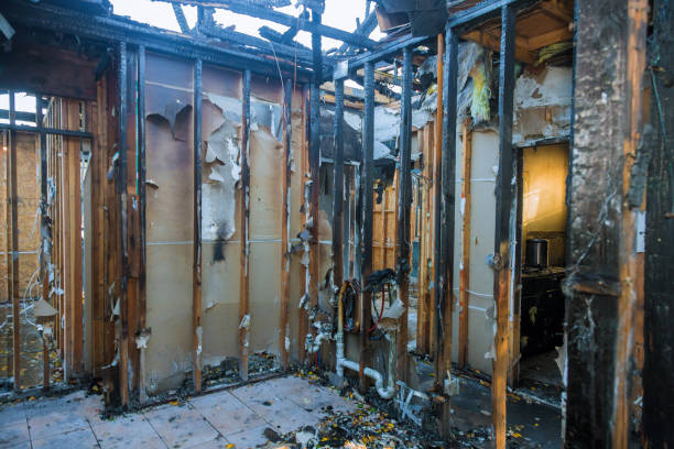 Professional Fire Damage Removal technician working in Severn, MD